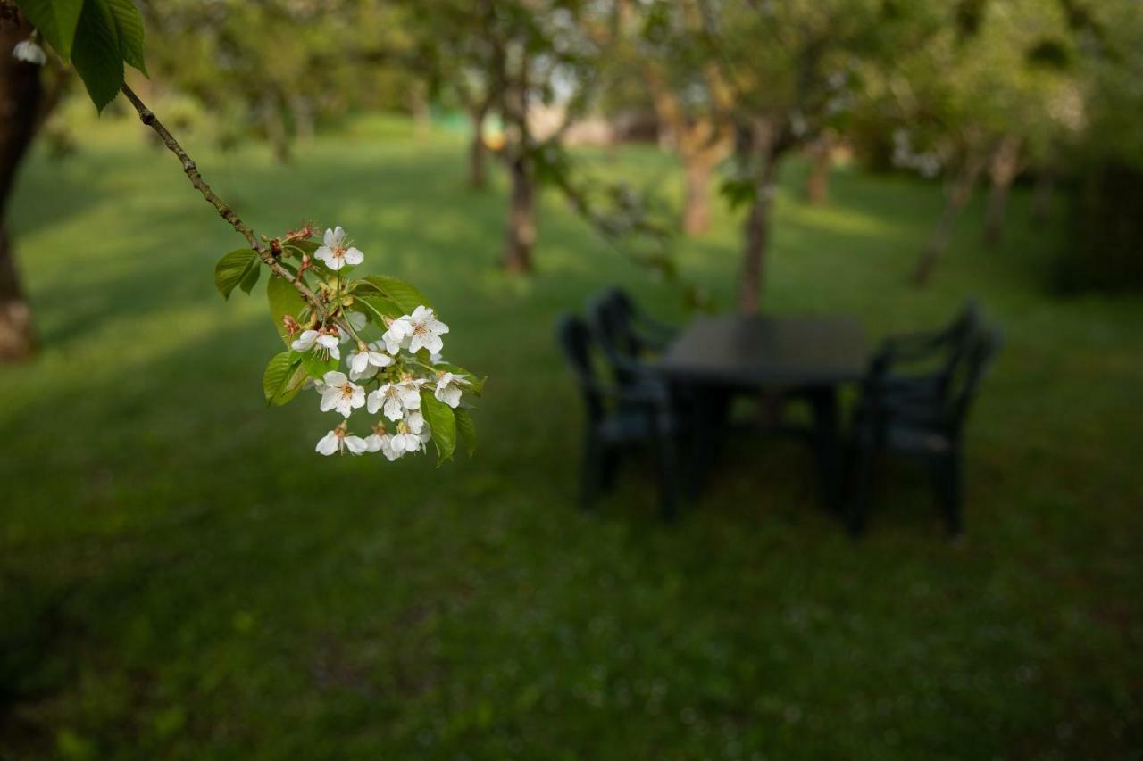 Gite Mattaincourt 외부 사진